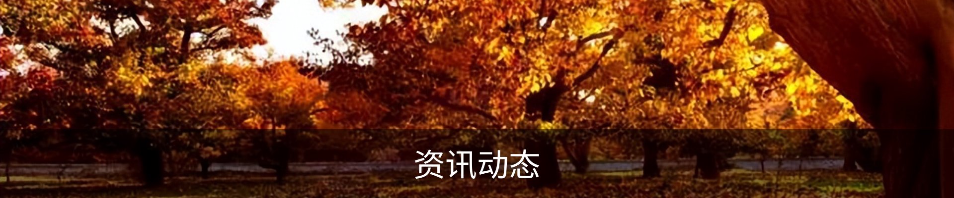 资讯动态